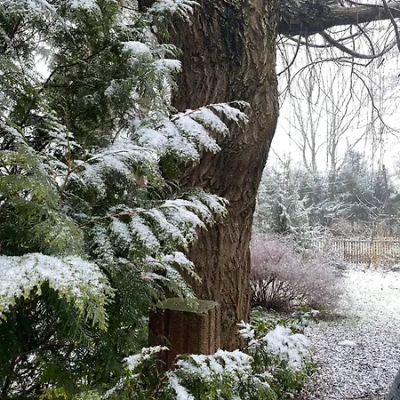 Wytchnienie * Radkow