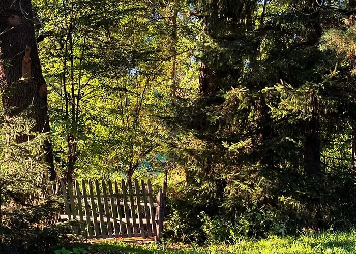 홈스테이 Wytchnienie